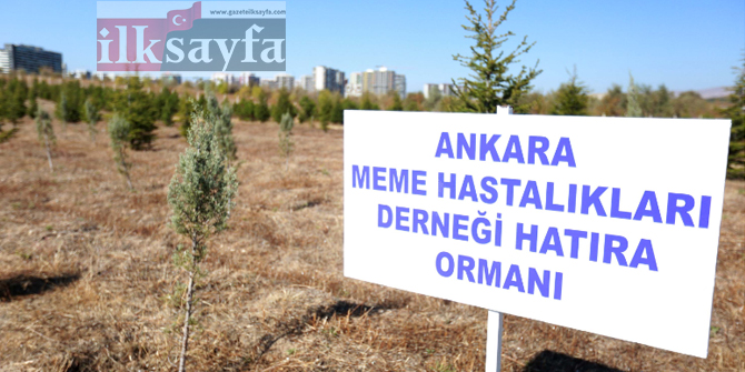 ankara-onkoloji-egitim-ve-arastirma-hastanesi,-1-31-ekim-meme-kanseri-farkindalik-ayi,-fevzi-altuntas,,,.jpg