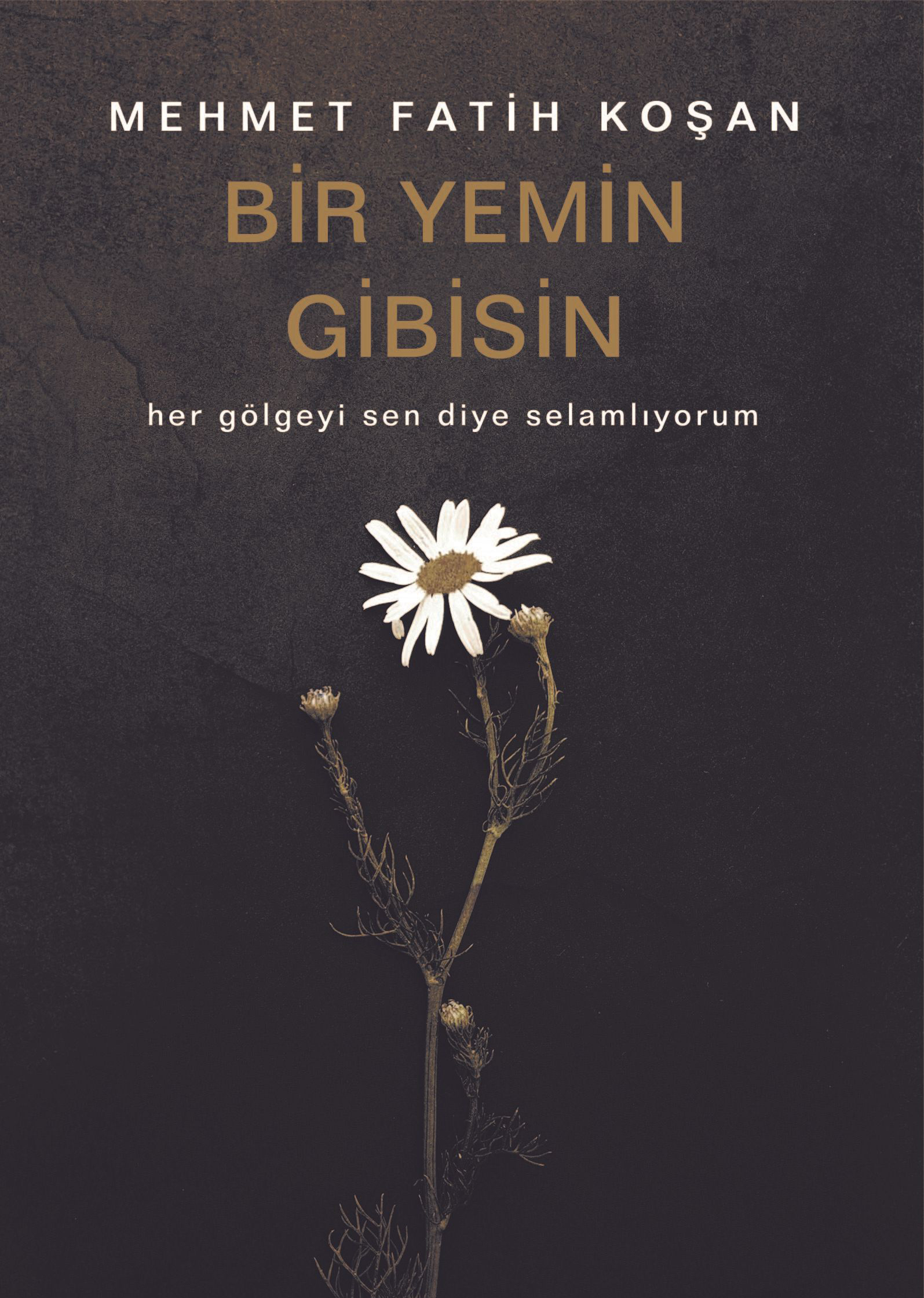 bir-yemin-gibisin.jpg