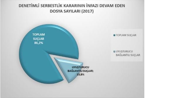 grafik1.jpg