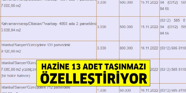 hazine-ozellestirme.jpg