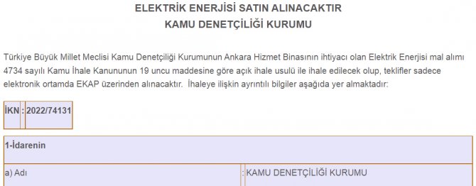 kamu-denetciligi-kurumu-elektrik-satin-alacak.jpg