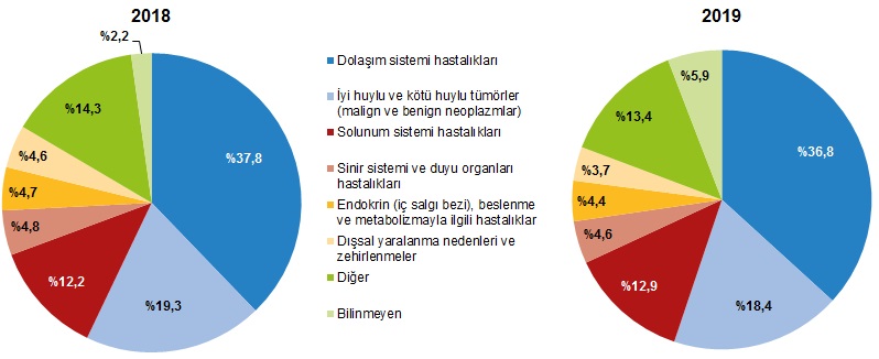 olum-nedeni-grafik.jpg